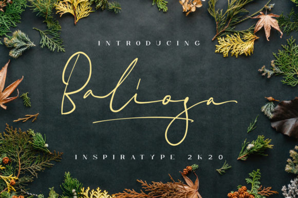 Baliosa Font Review: A Script Handwritten Typeface for Makers