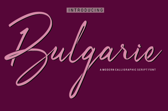 Bulgarie Font: Elegant Script Handwritten Typography for Web Design