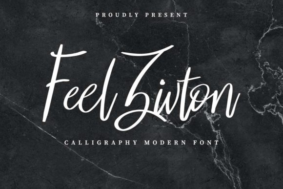 Feel Zivton Font: Elevating Digital Marketing Visuals