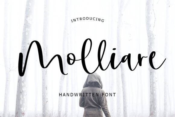 Molliare Font: Elegant Script Handwritten Typography for Web Design