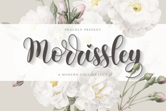 Morrissley Font Review: Elegant Script for Campaigns