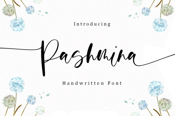 Pashmina Font Review: A Timeless Script Handwritten Typeface