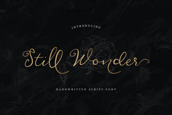 Still Wonder Font Review: Elegant Script for Business Branding
